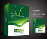 绿色手提袋 手提袋设计 手提袋