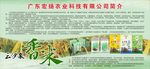 罗定市宏扬农业有限公司简介