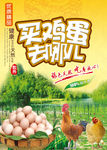 买鸡蛋去哪儿