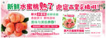 桃子熟了宣传海报