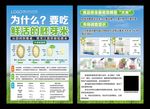 五常大米糯米杂交米胚芽米水稻展