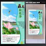 共赏荷花