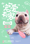 萌宠海报