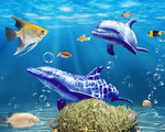 海洋馆