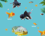 海底世界