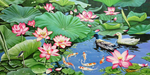 荷花九鱼图