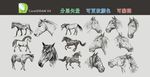 手绘骏马