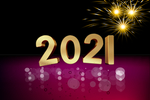 2021金字