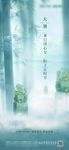 地产节气大暑大气海报