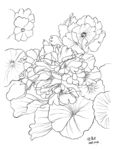 花卉1014