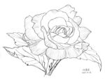 一花儿