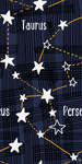 星座插画图案