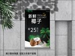 椰子海报