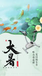 大暑海报