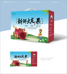 火龙果包装