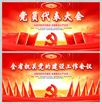 党员代表大会