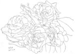花儿