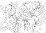 花
