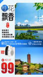 桂林旅游 桂花飘香