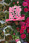 鲜花配送海报 鲜花定制海报