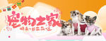 宠物商店 美容