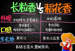 长粒香VS稻花香