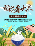 大米