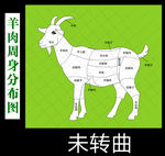 羊肉部位图