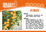 砂糖桔