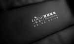 鳄鱼皮纹样式 真皮