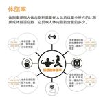 体脂率矢量示意图