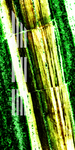 抽象画