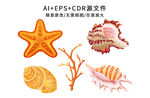 矢量手绘卡通贝壳