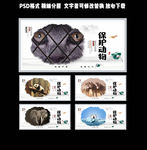 保护动物