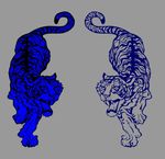虎