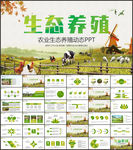 家禽养殖PPT
