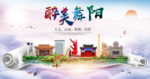 舞阳大醉美生态城市海报