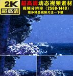 唯美雪花飘落下雪大树湖面视频