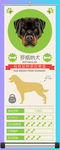 罗威纳犬简介
