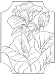花卉绘画