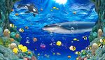 海洋馆