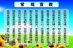 常规宣教