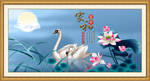 天鹅