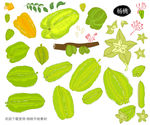 杨桃手绘素材