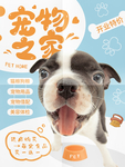 宠物之家宠物店开业海报