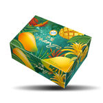 水仙芒包装 平面展开图