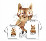 小雏菊猫