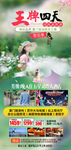 福建赏花旅游海报