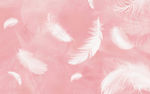 粉色羽毛背景墙