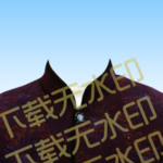 奶奶证件照